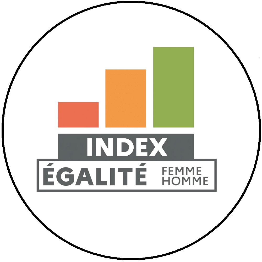 logo Gender equality index
